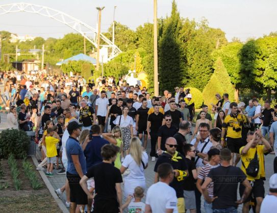 Une grande famille jaune et noire