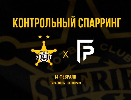 Очередной контрольный матч Очередной контрольный матч