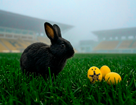 ¡Deseamos Felices Pascuas!